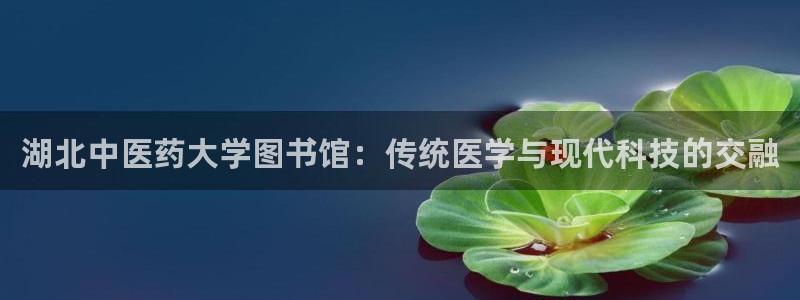 九游会网址登陆