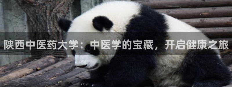 ag九游会老哥俱乐部