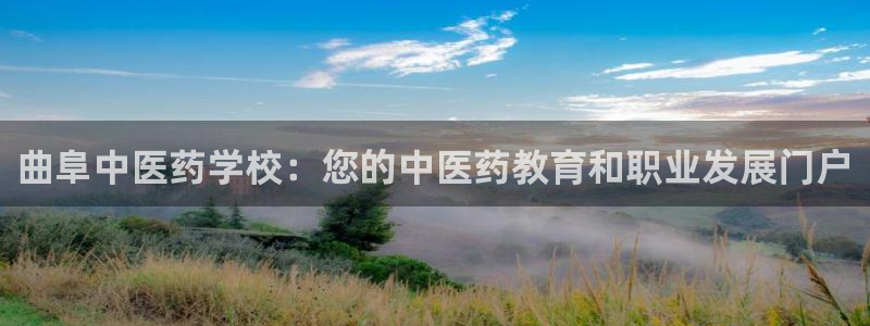 ag变成九游会