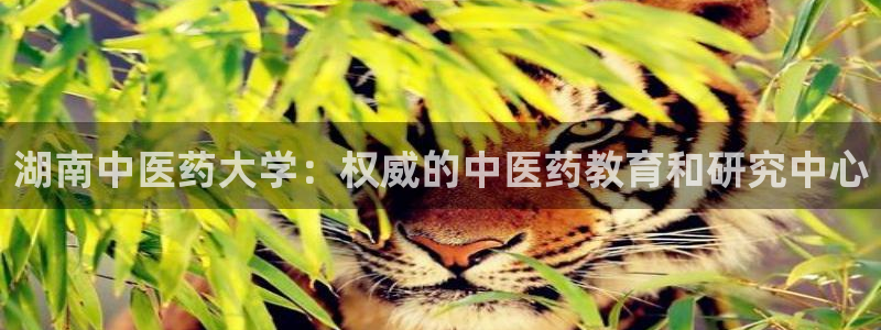 九游会登陆地址