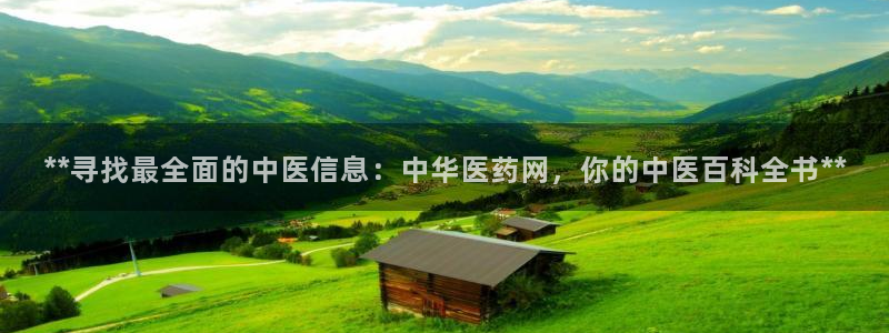 九游会网站打不开了