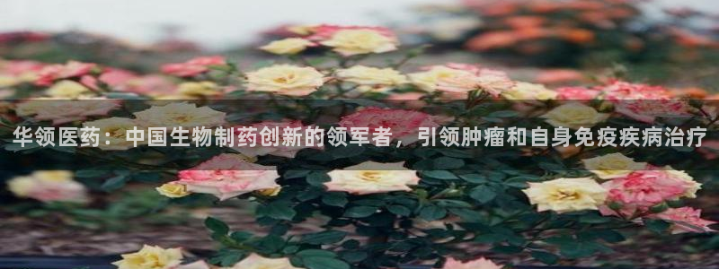 九游会网址jn109