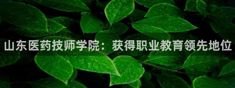 9游会旗舰