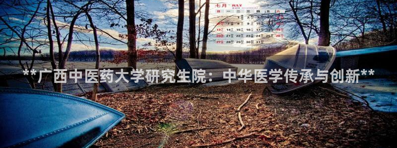 九游会进不去了