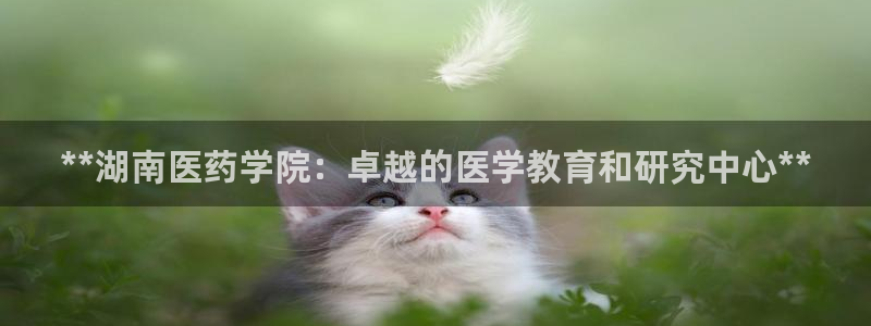 九游官网首页进入j9