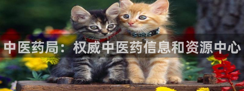 九游会官网地址