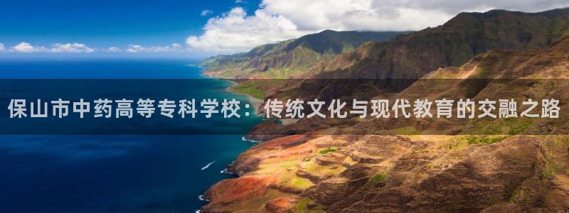 九游会吧