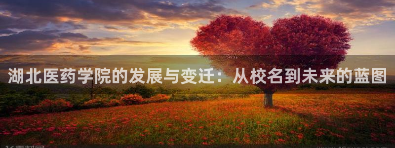 ag九游会j9j9