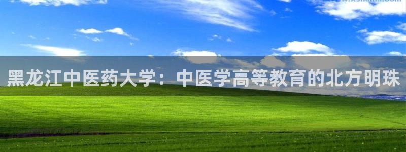 九游会官方旗舰店