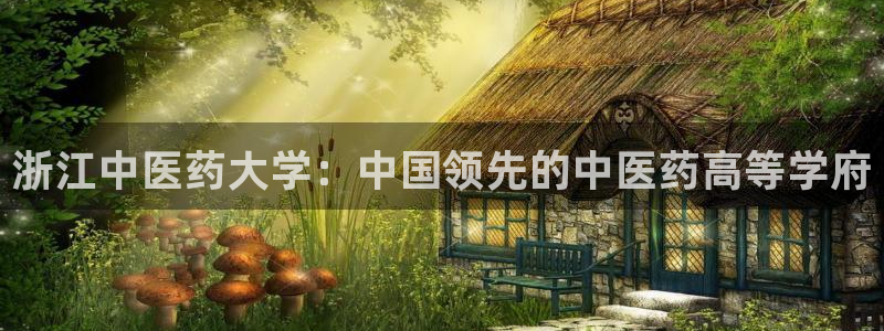 j9九游会