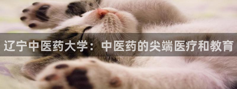 九游会手机版登录