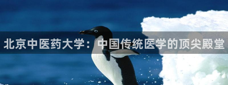 九游会平台怎么样