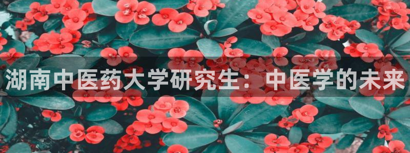ag8九游会