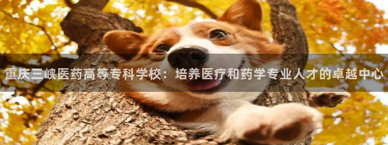 九游会平台最强