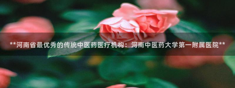 九游会j9官方登录入口