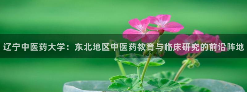 九游会AG下载手机端