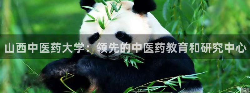 j9九游会不出款