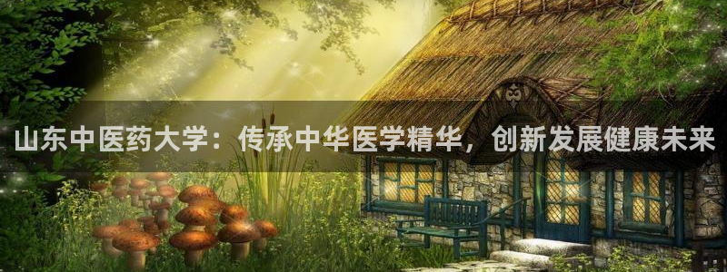 ag老队友