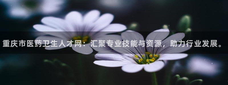 九游会ag真人官网