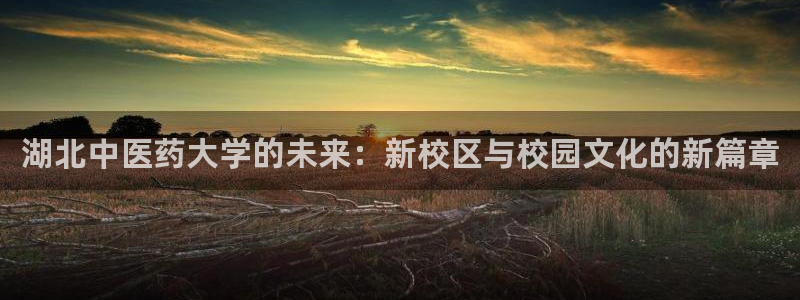 九游会网站打不开了