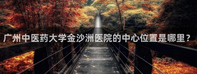 九游会怎么提款