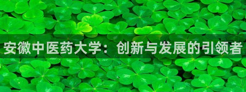 九游会官网网页版