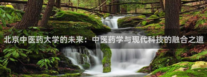 j9九游会永久域名