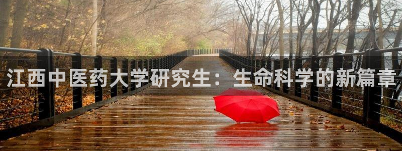 九游会j9官方网站