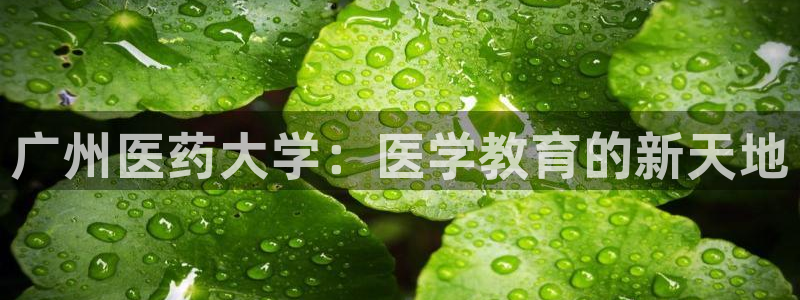 九游会可以提现吗