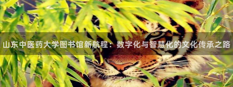 九游会官方链接