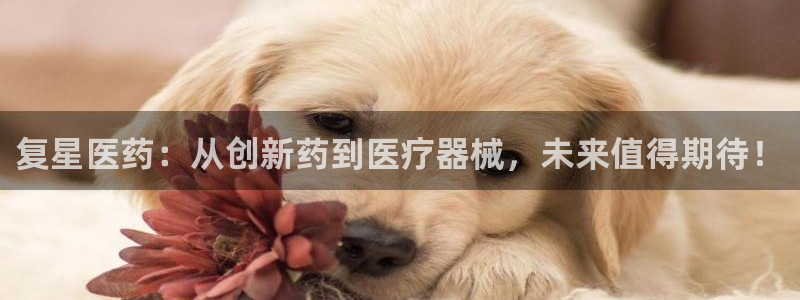 九游会是真的吗