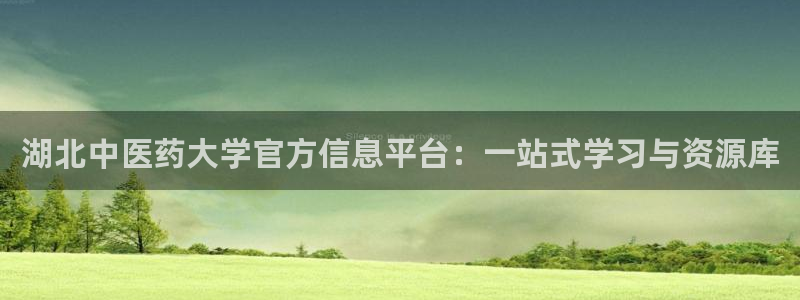 九游会网址大全