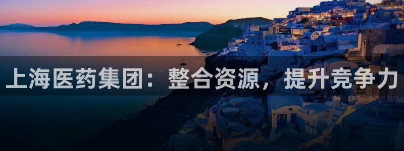 九游会是什么组织
