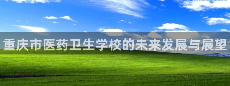 九游会 app