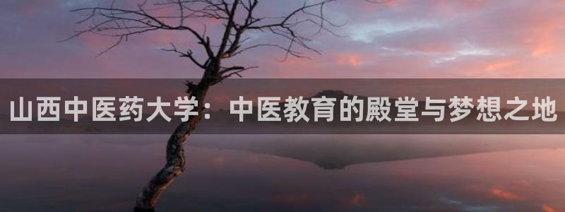 九游会进不去了