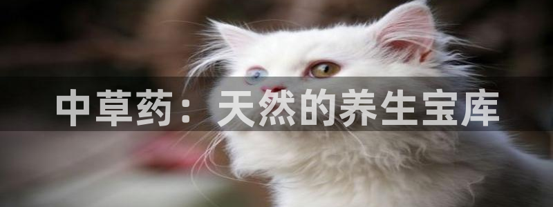 九游会老哥俱乐部社区论坛