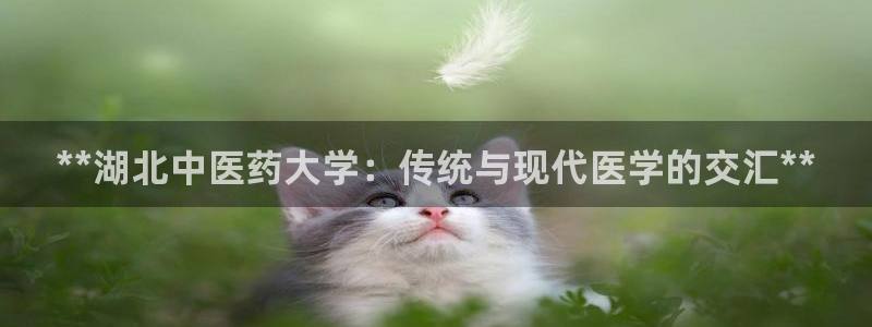 九游会平台登录