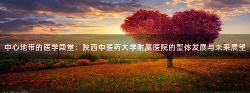 九游j9国际站官方网站