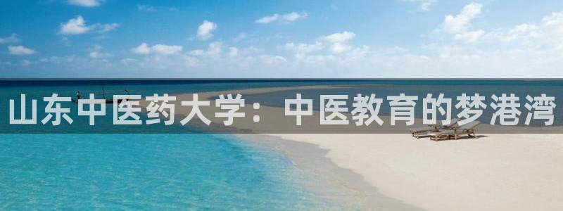 九游会官网个人中心登录