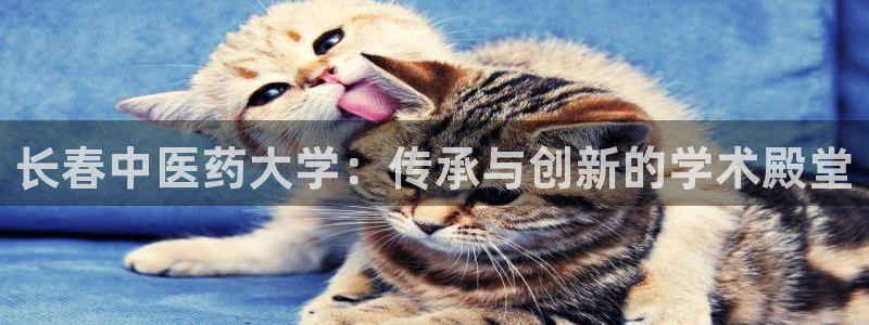 九游会AG登录中心(中国)官方网站