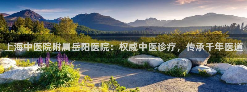 九游会最新线路