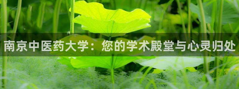 九游会集团菲律宾