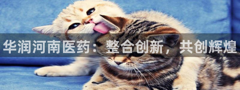 九游会老哥俱乐部必备的交流社区论坛