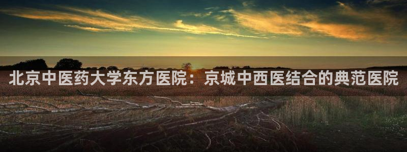 九游会官方在线