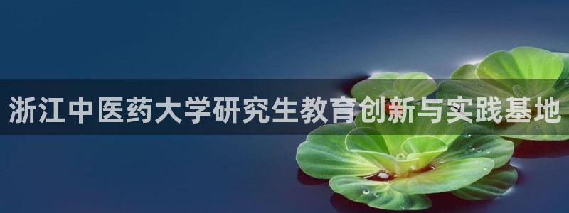 J9九游会试玩入口