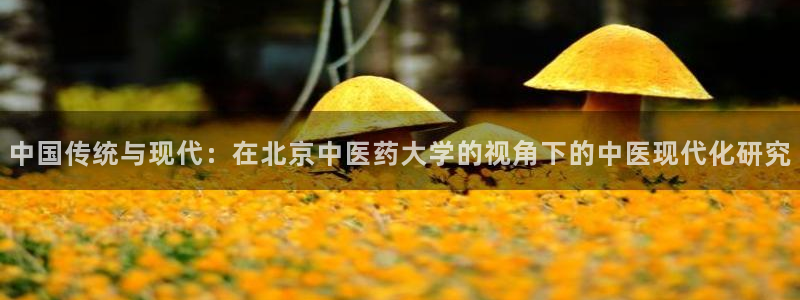 九游会首页官网