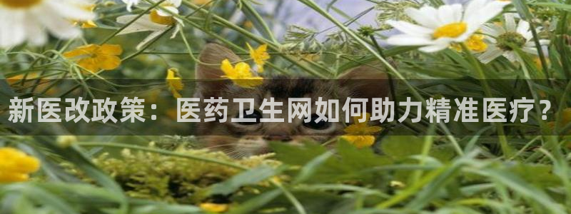 九游会官网网址