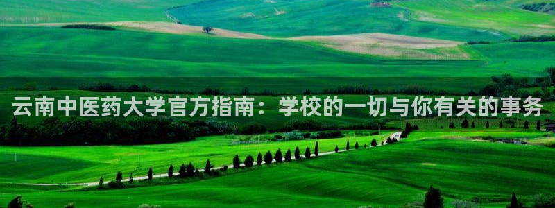 九游会线上平台下架吗