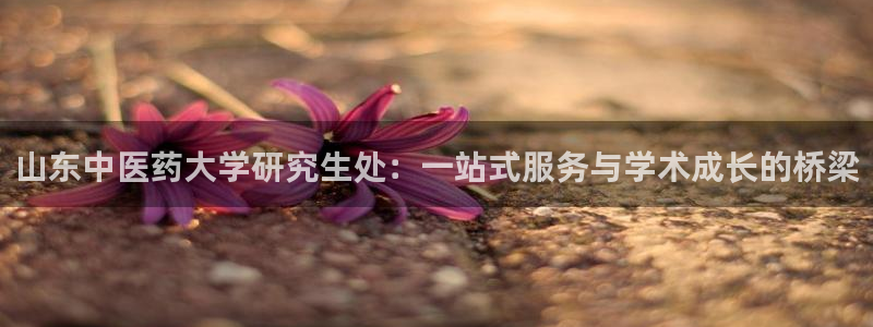 九游会平台登录