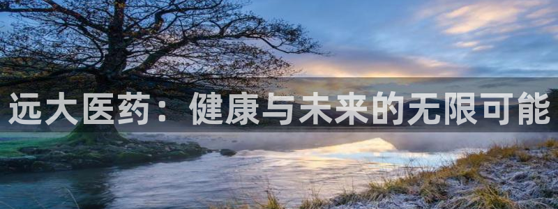 九游会是干嘛的